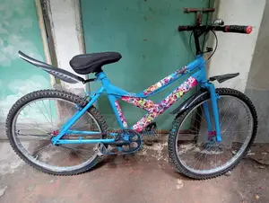 Willing to sell bicycle
