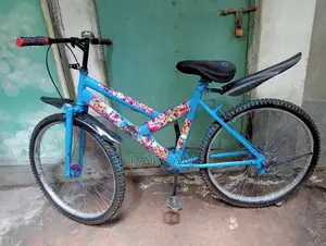 Willing to sell bicycle