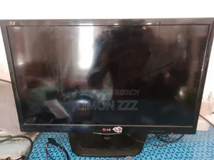 LG TV Model-24ln4110