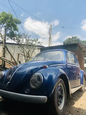 ফোকসওয়াগেন বিটল ক্যাব্রিওলেট ১৯৬৫ নীল