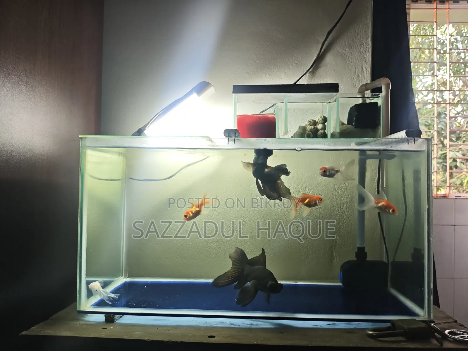 2feet Aquarium