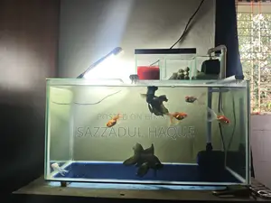 2feet Aquarium