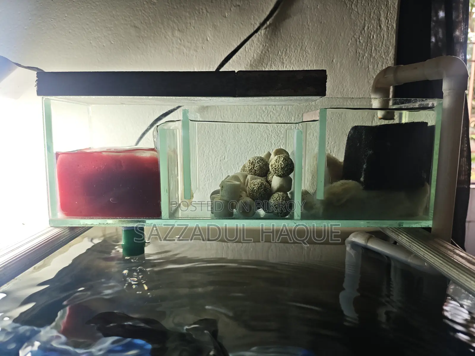 2feet Aquarium
