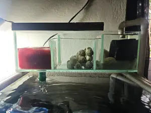 2feet Aquarium