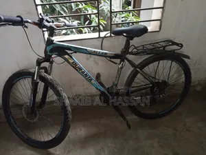 Emergency Sell Post Phoenix MTB Sports Cycle