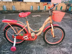 ২০" লেডিস সাইকেল