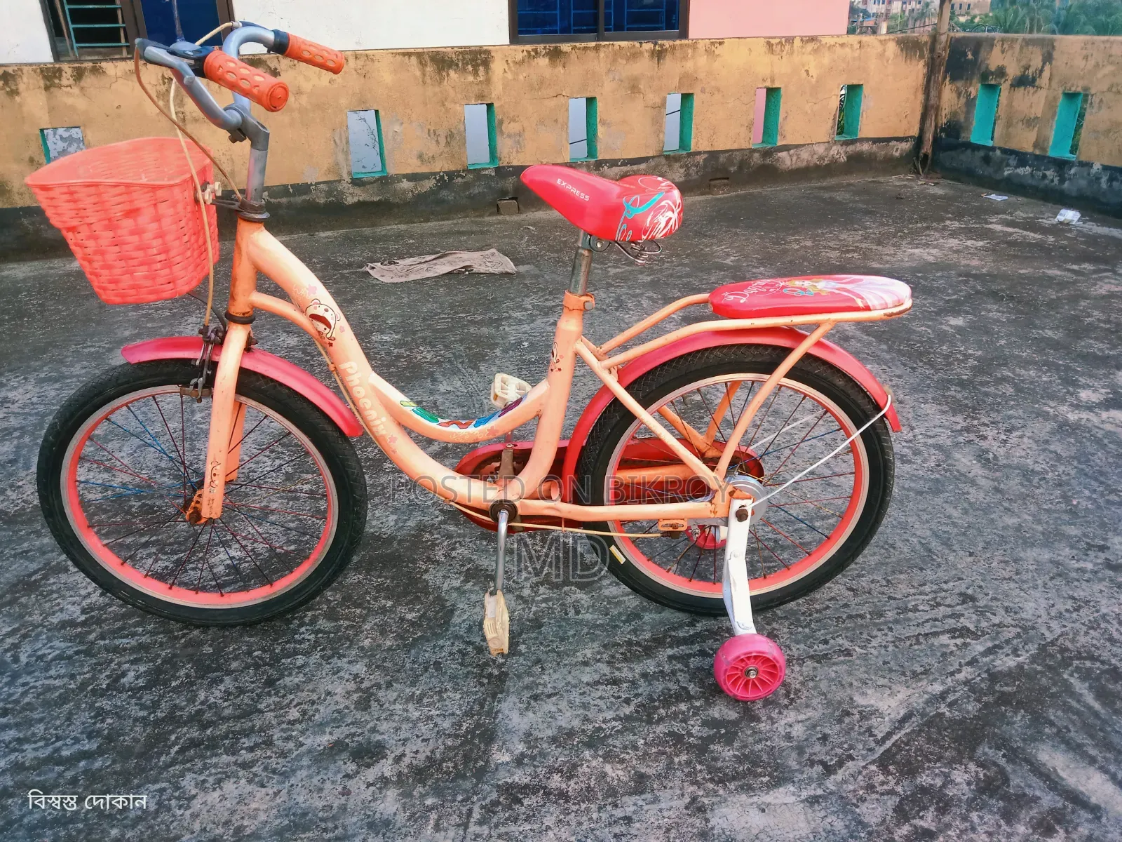 ২০" লেডিস সাইকেল