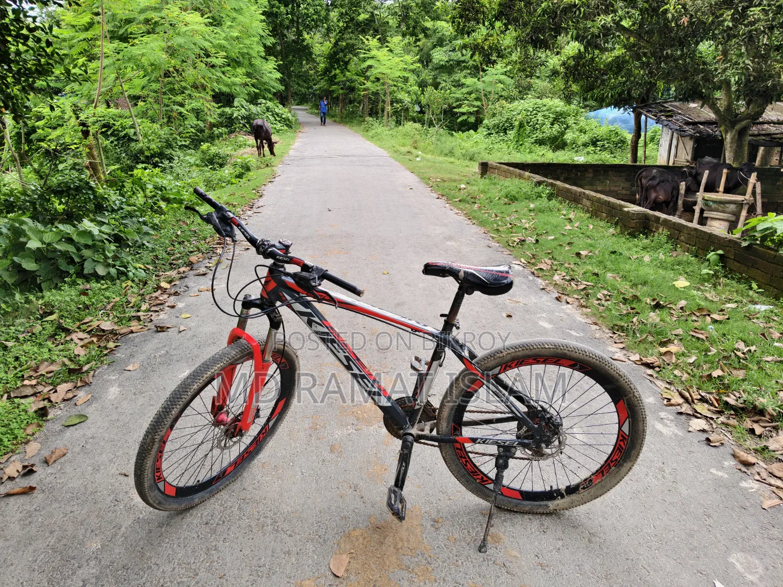 গিয়ার সাইকেল