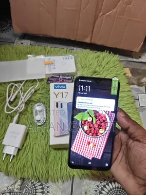 ভিভো ওয়াই১৭ ২৫৬ জিবি নীল
