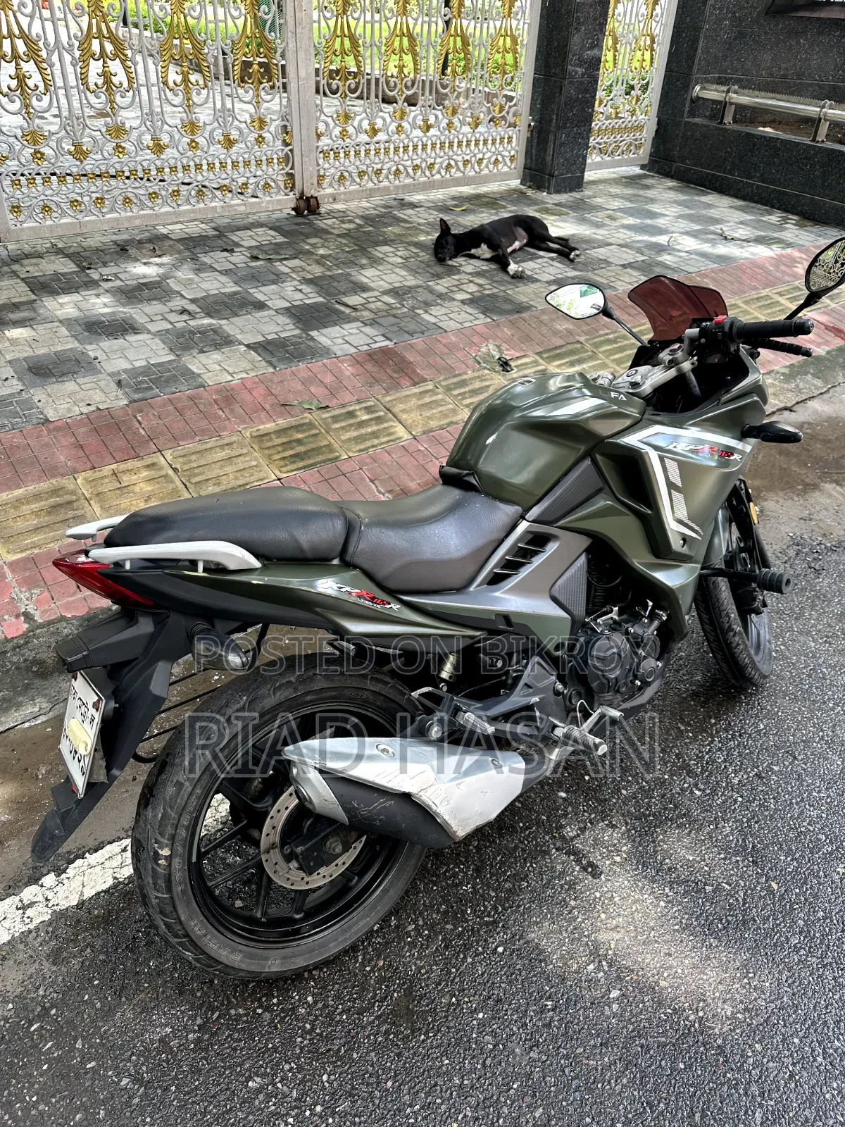 লিফান ২০২১ সবুজ