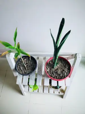ফুলদানির কাঠের স্ট্যান্ড