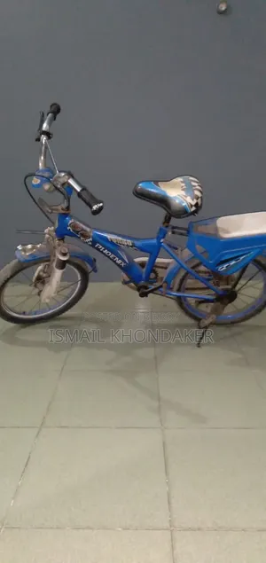 ফিনিক্স সাইকেল