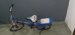 Phoenix Cycle