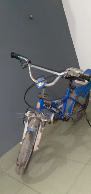 Phoenix Cycle
