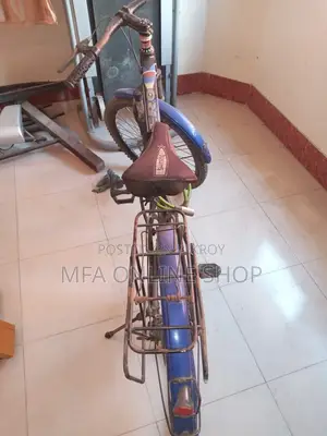 Will Be Sell a Cycle-24 Inch