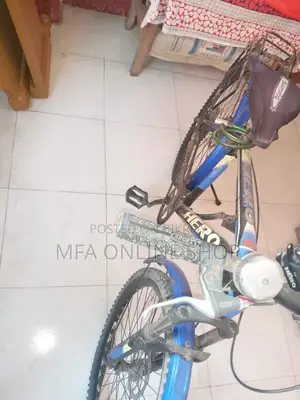 Will Be Sell a Cycle-24 Inch