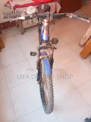Will Be Sell a Cycle-24 Inch
