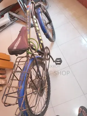 Will Be Sell a Cycle-24 Inch