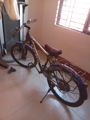 Will Be Sell a Cycle-24 Inch