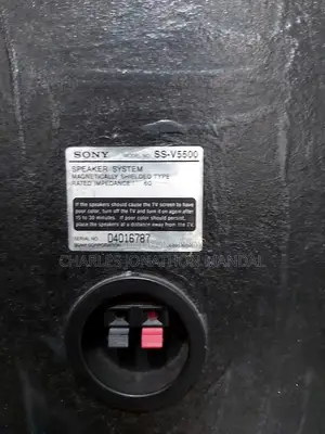 Sony STR-V5500