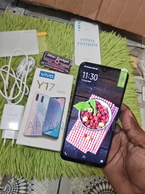 ভিভো ওয়াই১৭ ২৫৬ জিবি পিংক