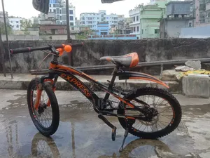 এক্সপ্রেস সাইকেল