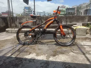 এক্সপ্রেস সাইকেল