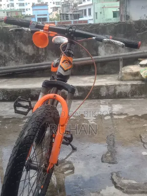 এক্সপ্রেস সাইকেল