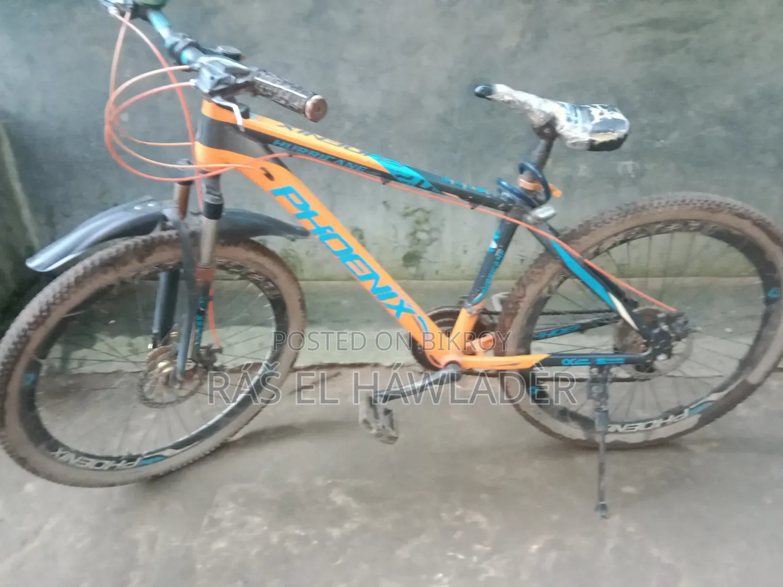 ফনিক্স সাইকেল