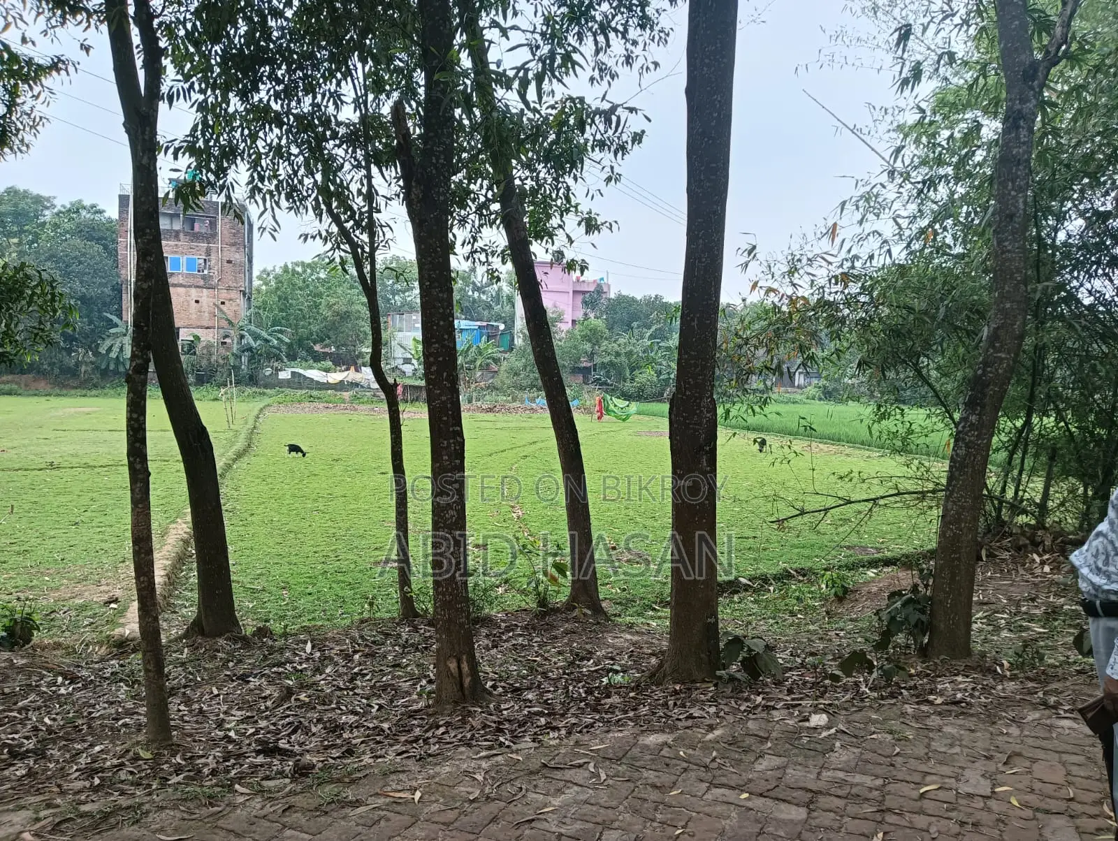 গাজীপুরে জমি বিক্রয় – বিনিয়োগের জন্য চমৎকার সুযোগ