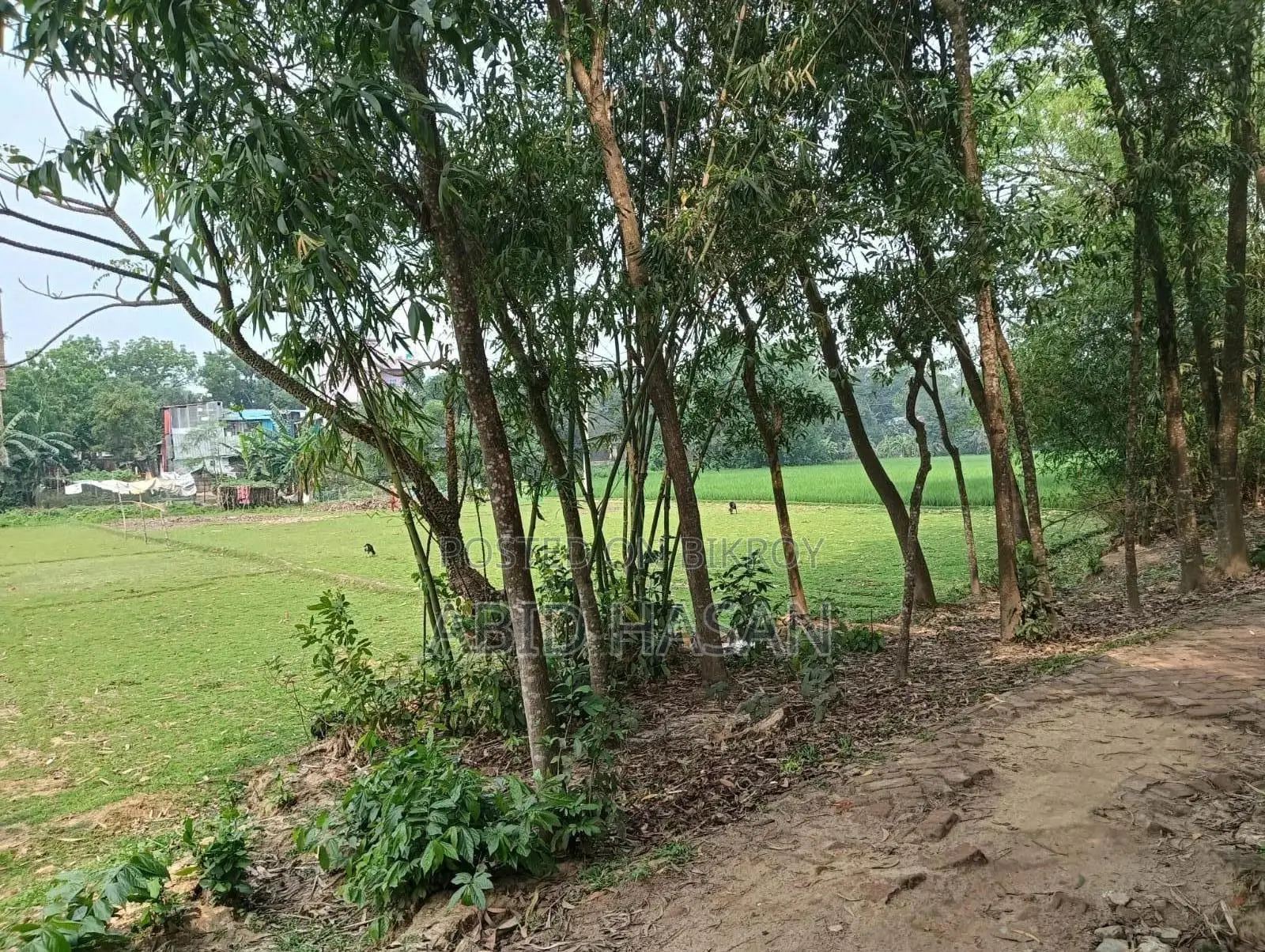 গাজীপুরে জমি বিক্রয় – বিনিয়োগের জন্য চমৎকার সুযোগ