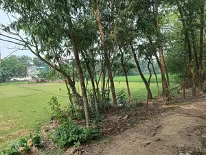 গাজীপুরে জমি বিক্রয় – বিনিয়োগের জন্য চমৎকার সুযোগ