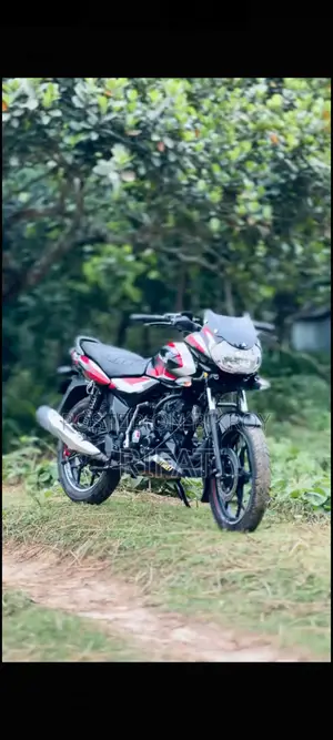Bajaj Discover 110 2022 Blue