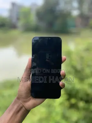 অ্যাপল আইফোন ১২ প্রো ম্যাক্স ১২৮ জিবি ব্লু