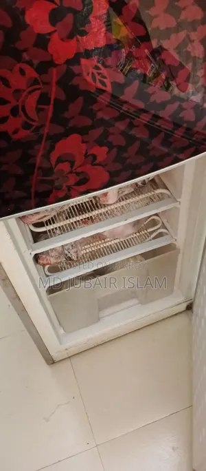 ফ্রিজ সেল দেওয়া হবে