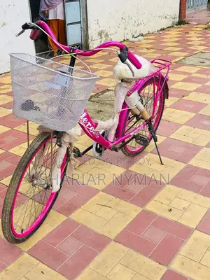 New Cycle 2024 Pink