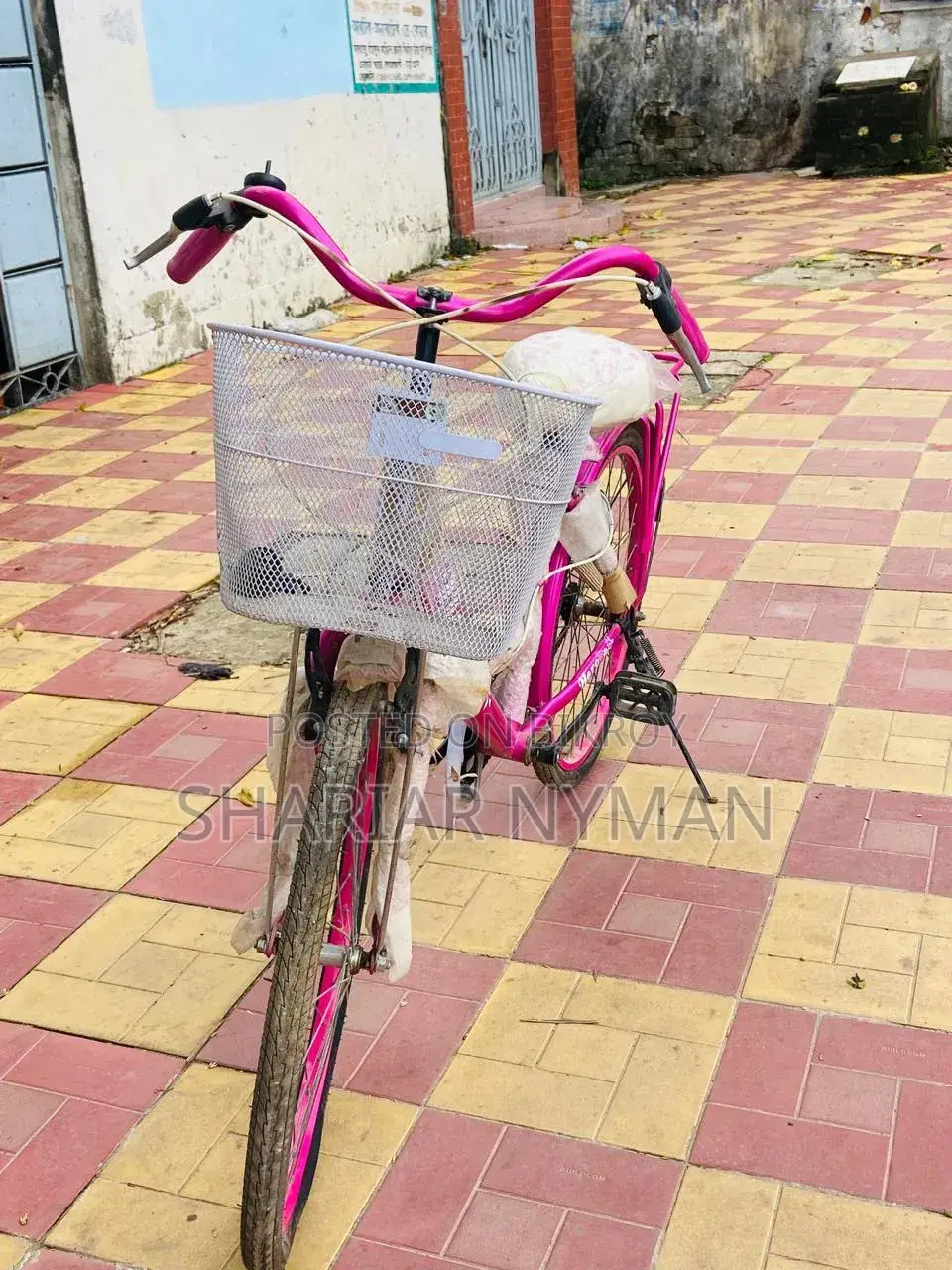 New Cycle 2024 Pink