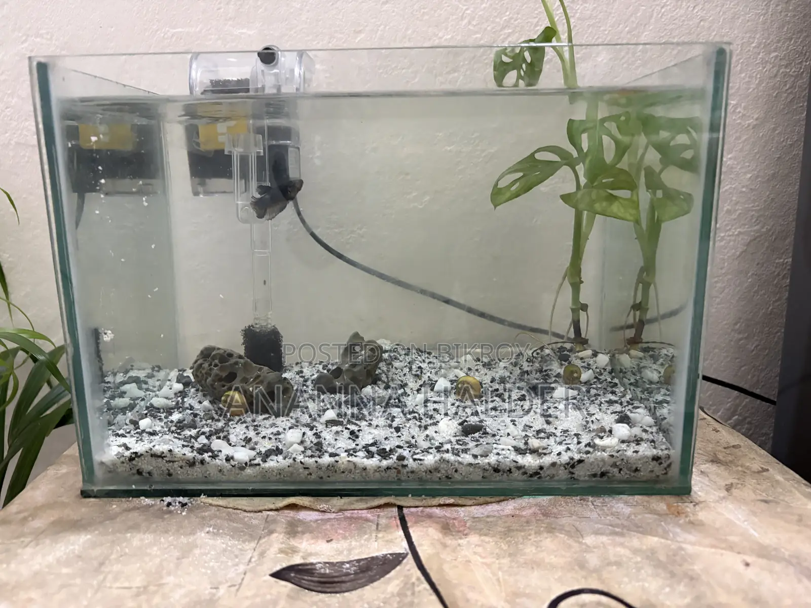 Aquarium for Sell Used for 3months