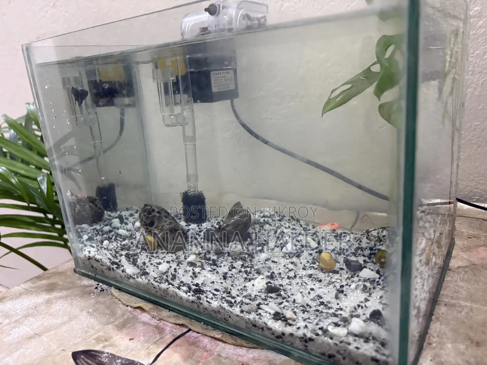 Aquarium for Sell Used for 3months