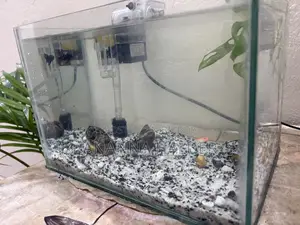 Aquarium for Sell Used for 3months