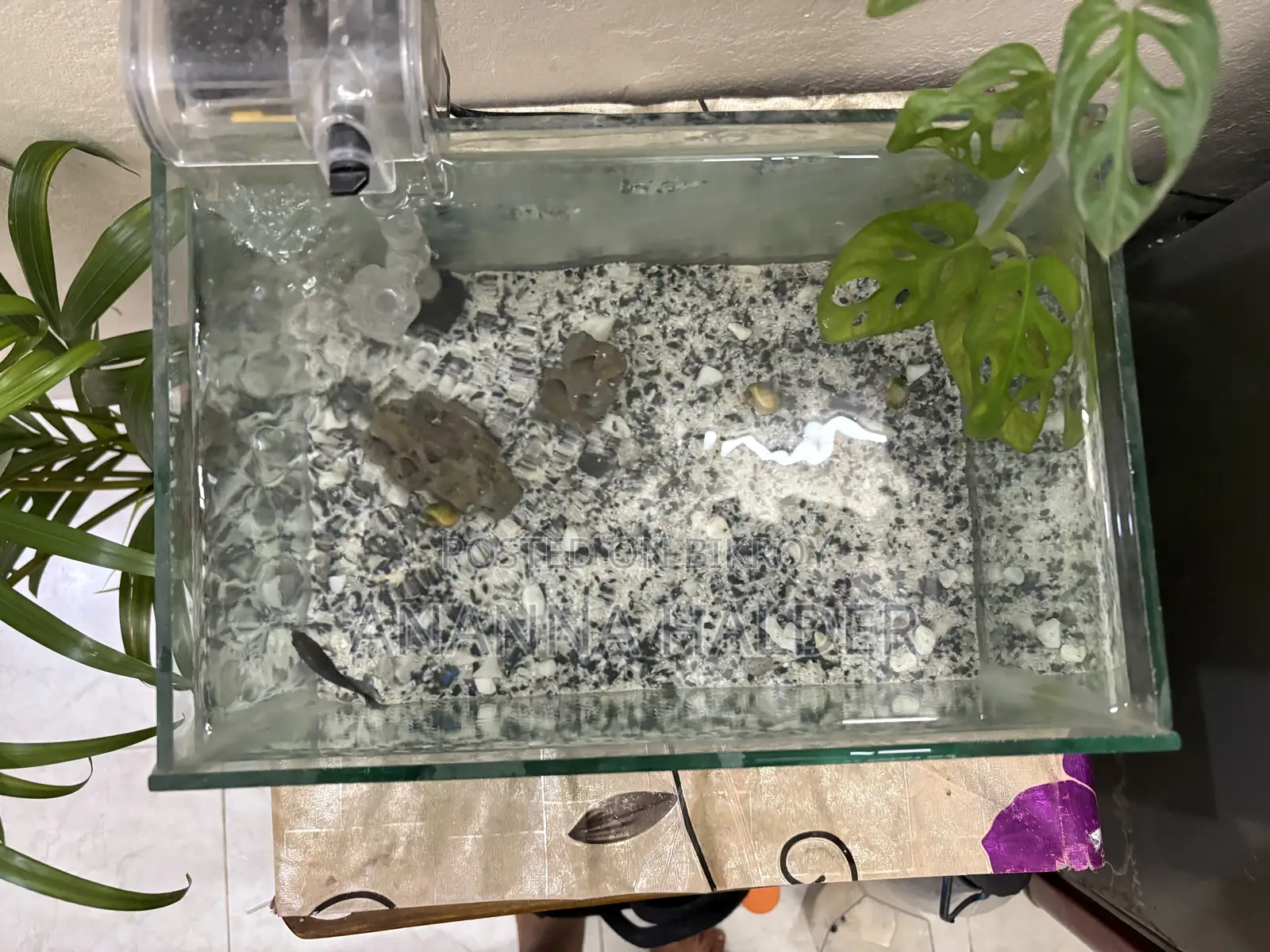 Aquarium for Sell Used for 3months
