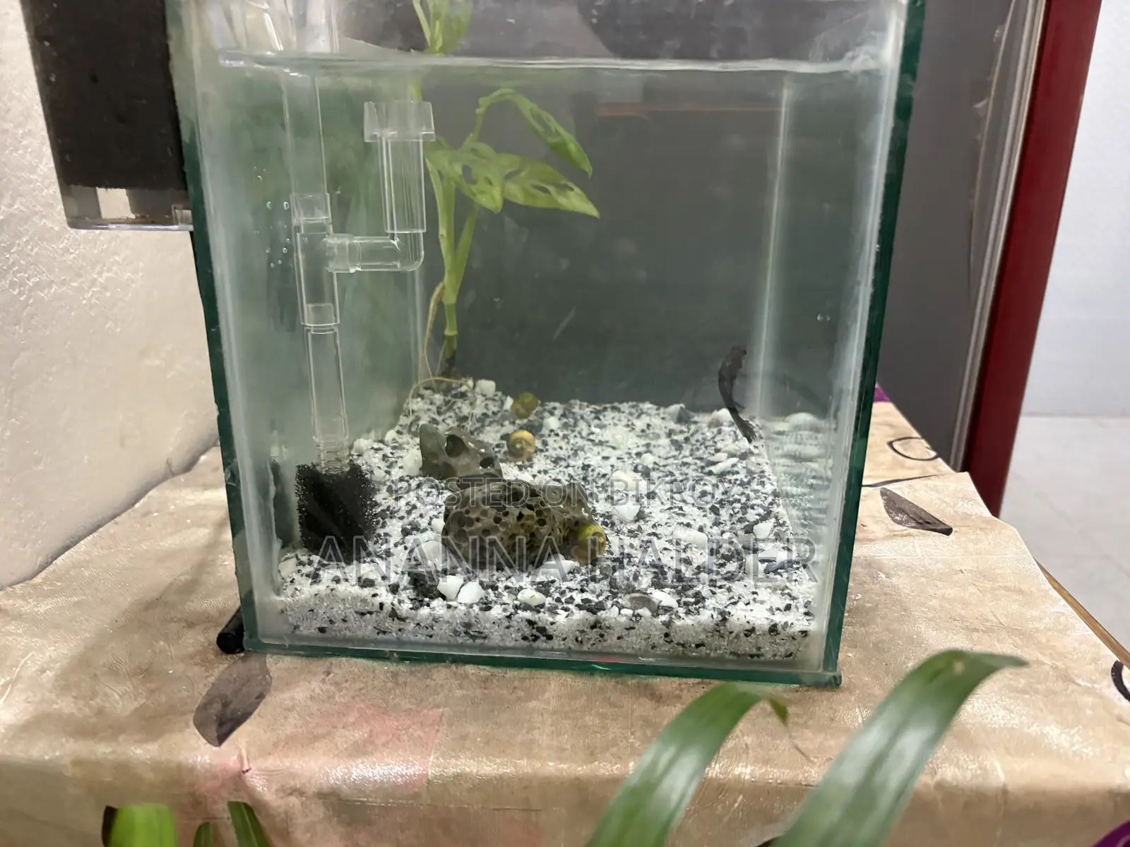 Aquarium for Sell Used for 3months