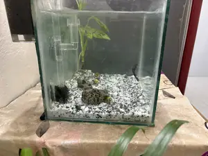 Aquarium for Sell Used for 3months