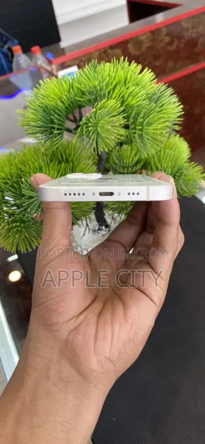 Apple iPhone 13 128 GB White