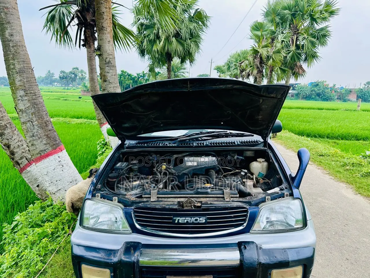 ডাইহাৎসু তেরিওস ১.৩ ফোর-হুইল ড্রাইভ ২০০৫ নীল