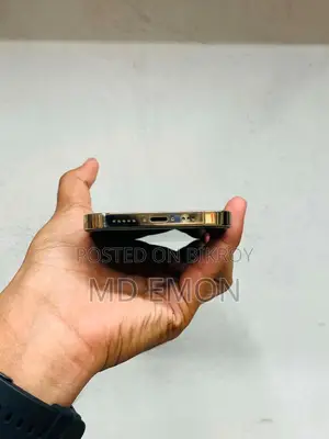 অ্যাপল আইফোন ১২ প্রো ২৫৬ জিবি গোল্ড
