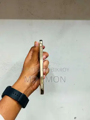 অ্যাপল আইফোন ১২ প্রো ২৫৬ জিবি গোল্ড