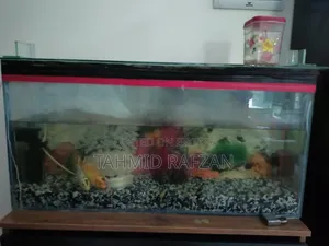 Fish Tank With Stand