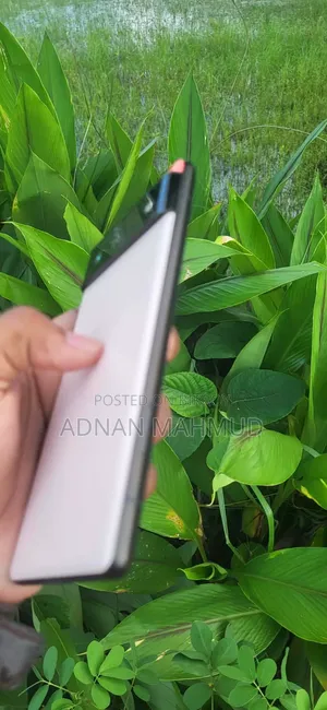 Google Pixel 6 128 GB White