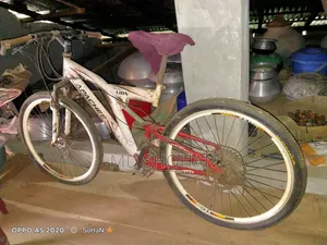 সাইলেন টাকার দরকার